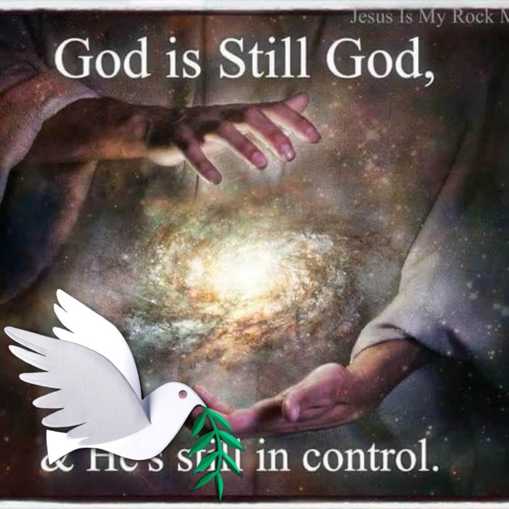 Meet your Posher, Vickey